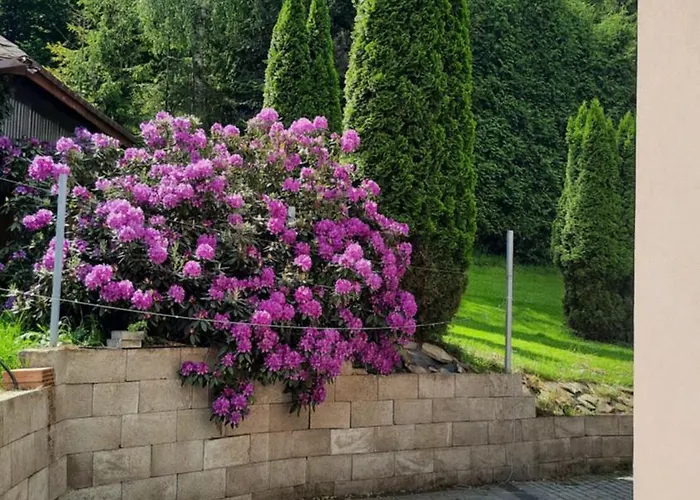 Przy Zlotym Groniu * Istebna